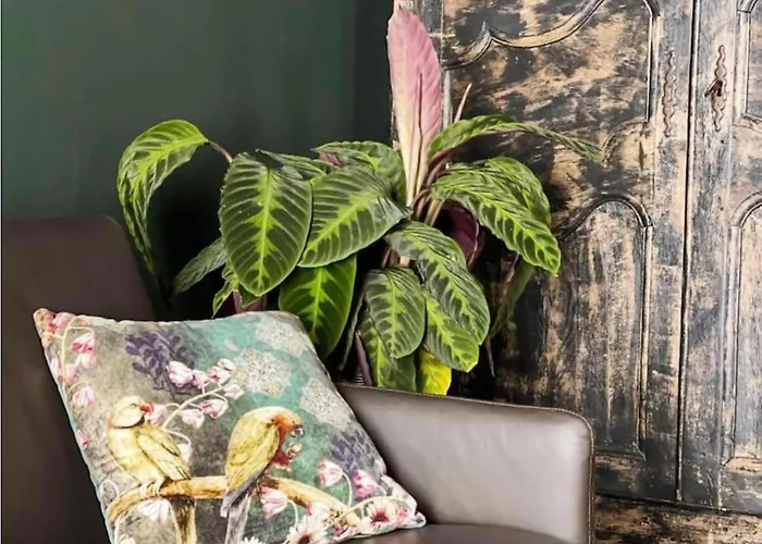 Cozy Couple Retreat Near Thermes Appartement